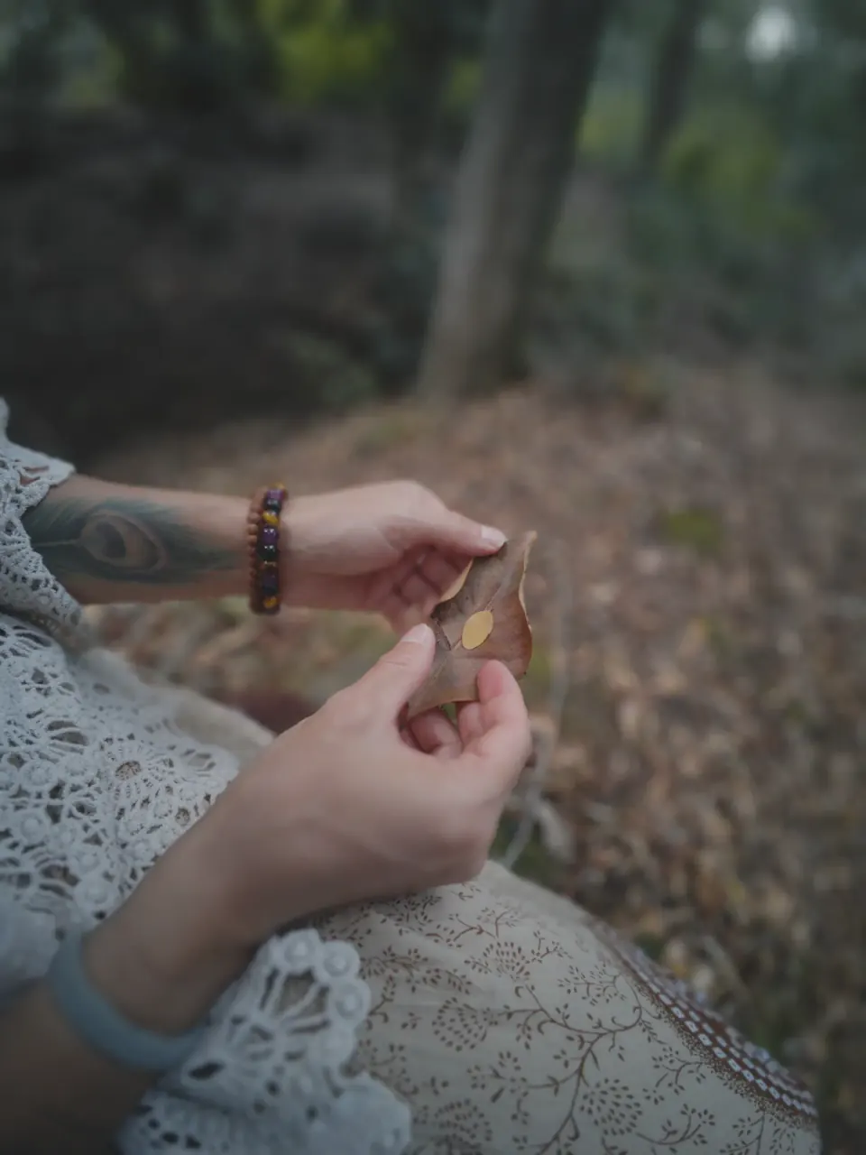 Sesiones: un momento de la experiencia de Semilla en la naturaleza