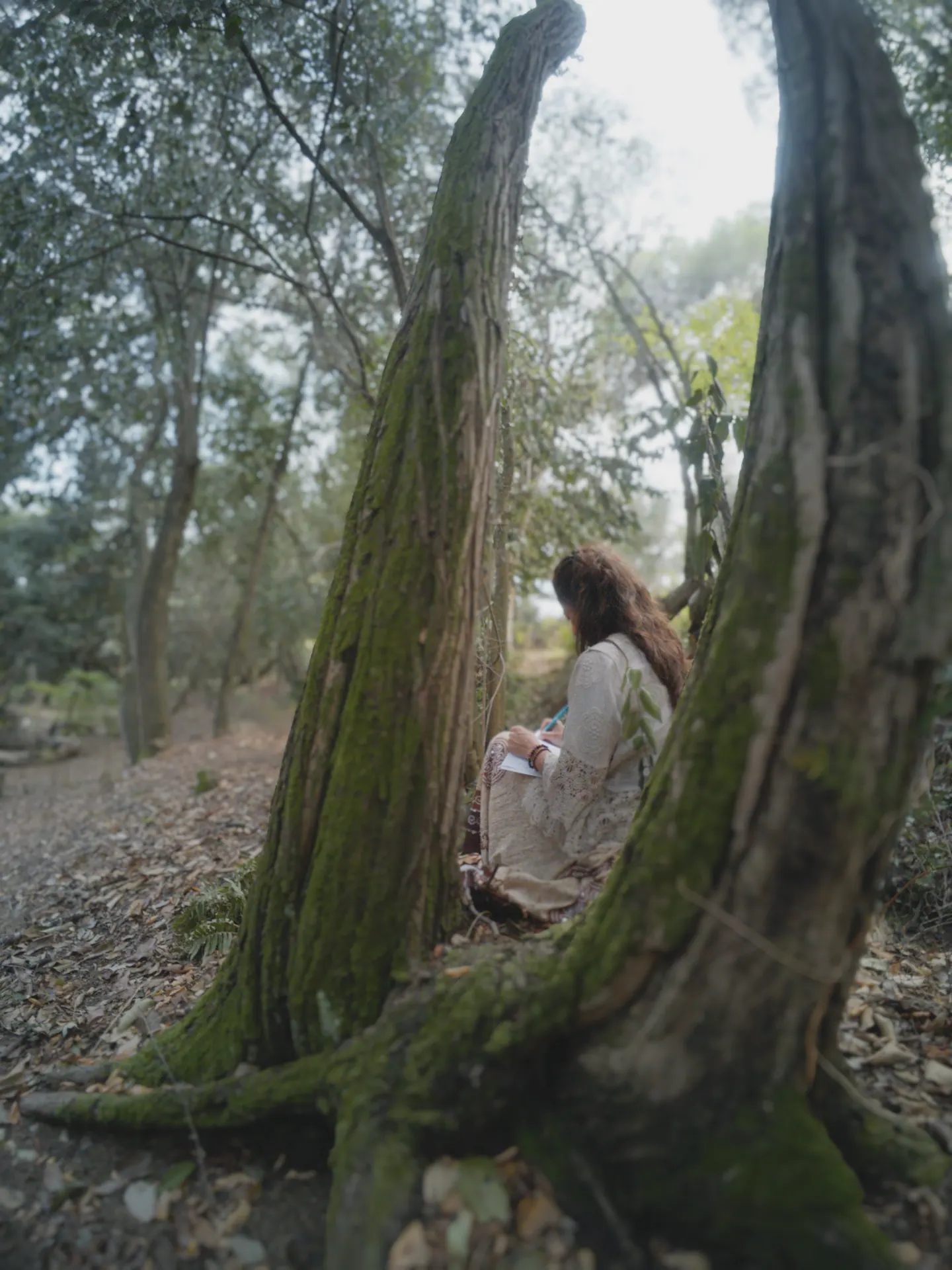 Un momento de presencia en el bosque