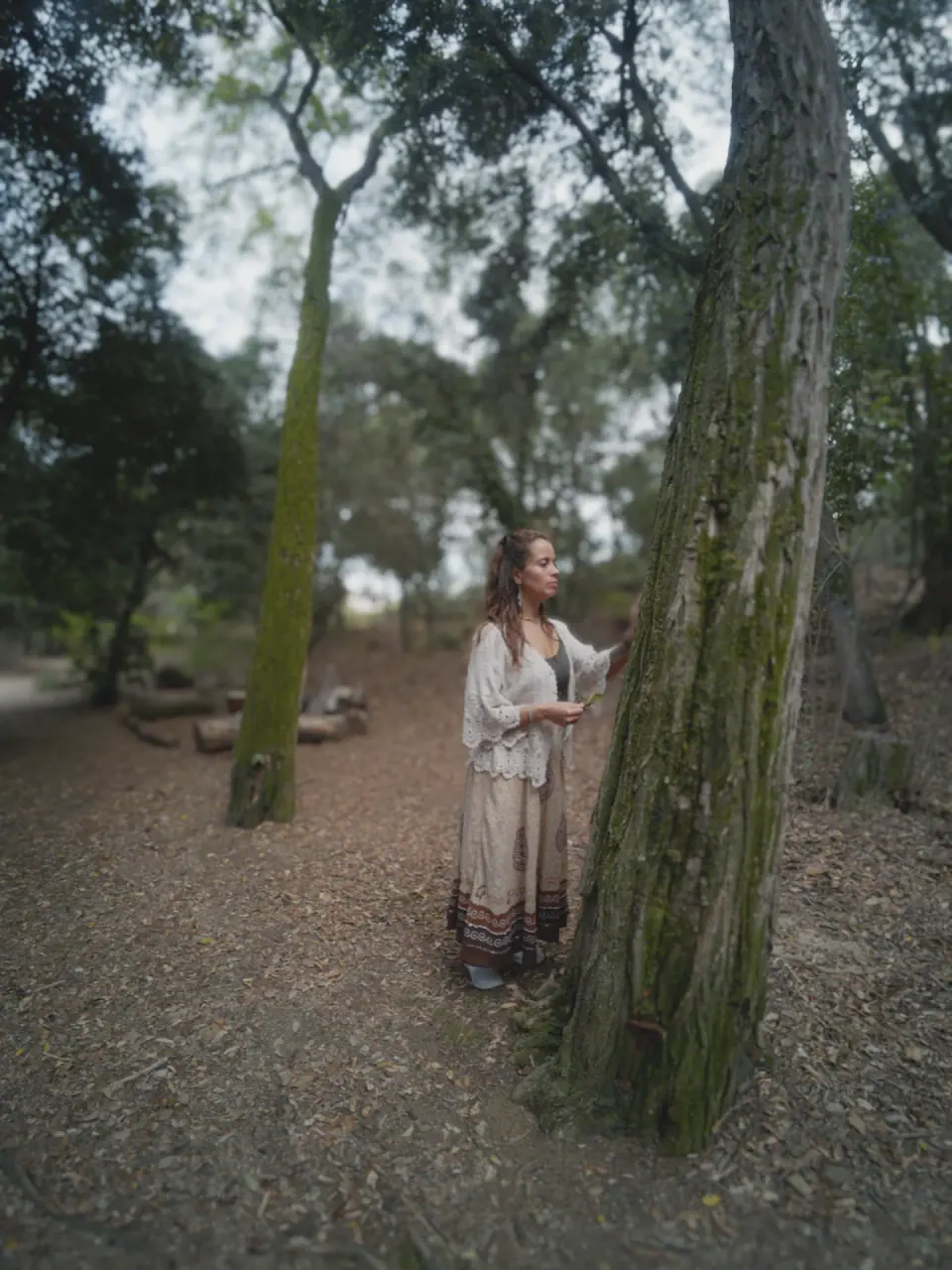 Una pausa al costat d’un arbre