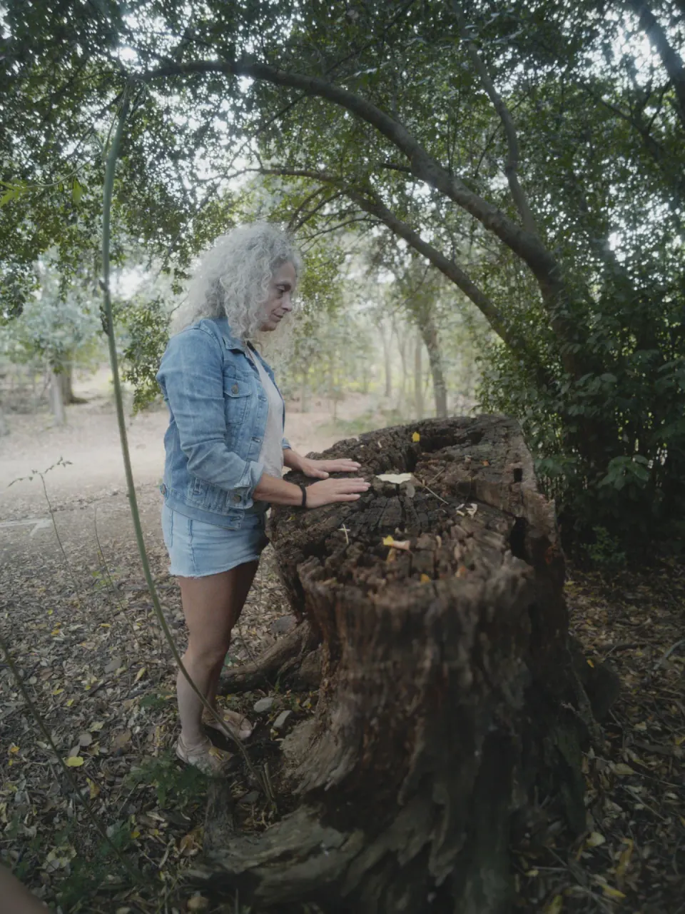 Materials from nature