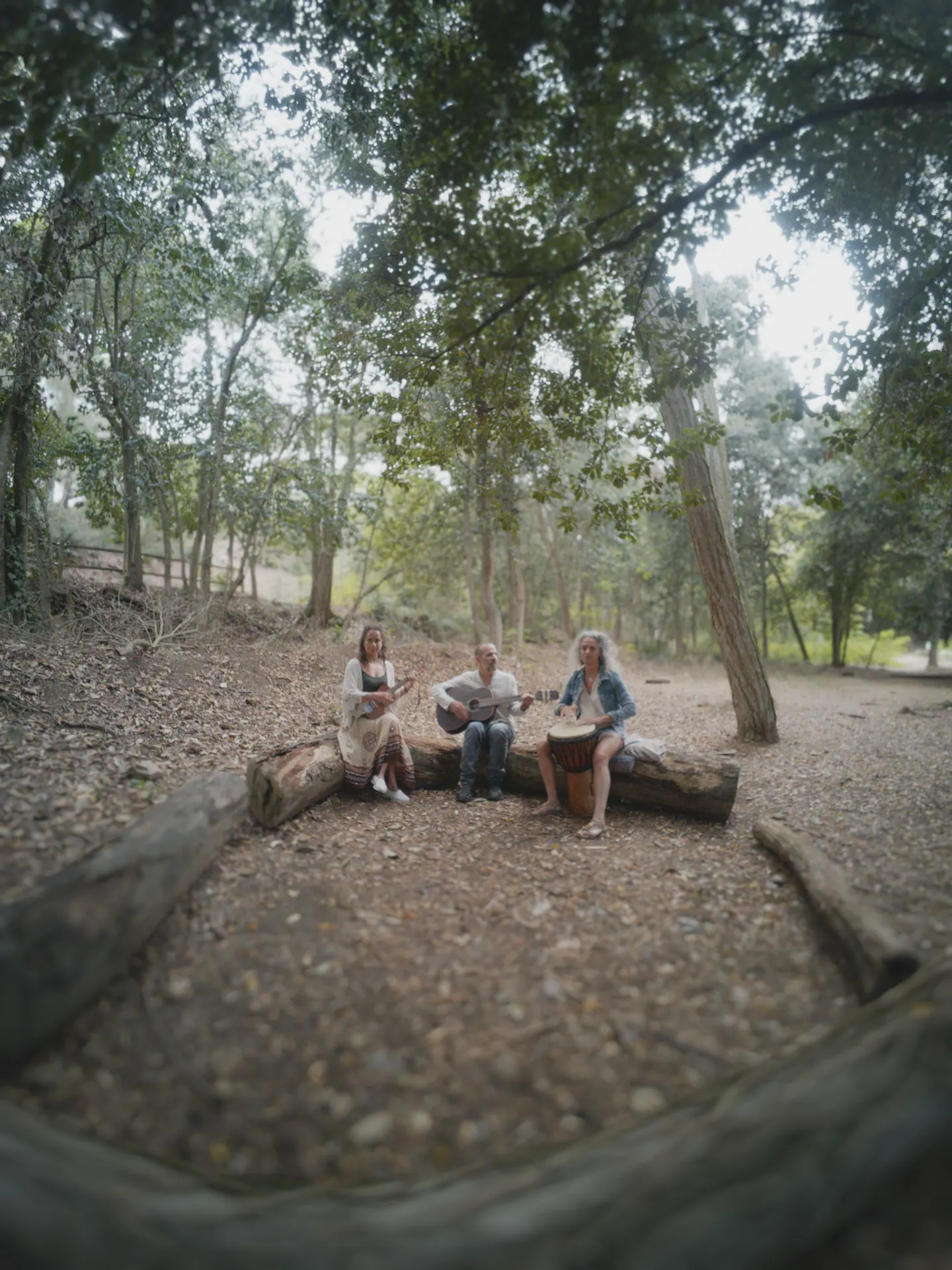 Un encuentro en el bosque de Semilla