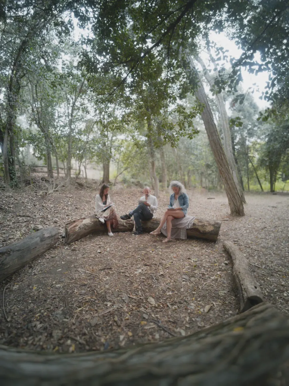 Un encuentro compartido entre los árboles