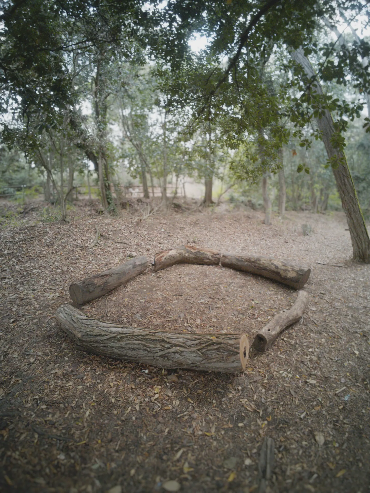 Entorno