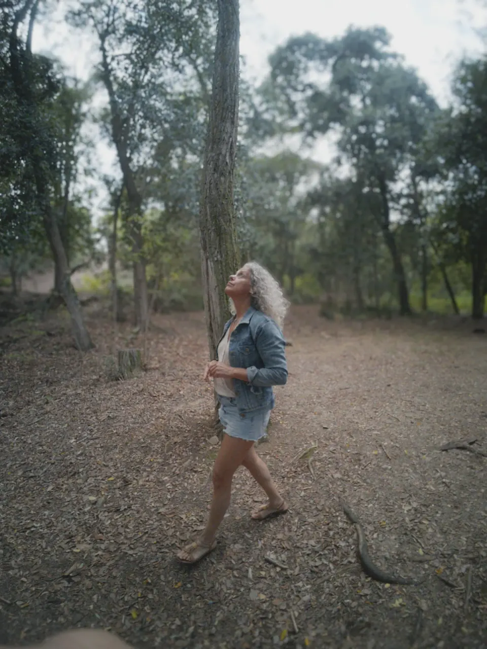 Movement in nature